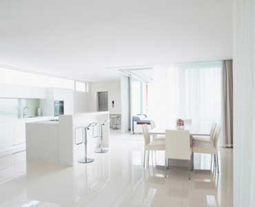 Pestwise NZ