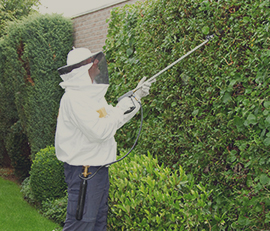 Pestwise NZ