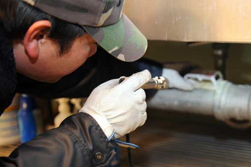 Commercial Pest Control Auckland